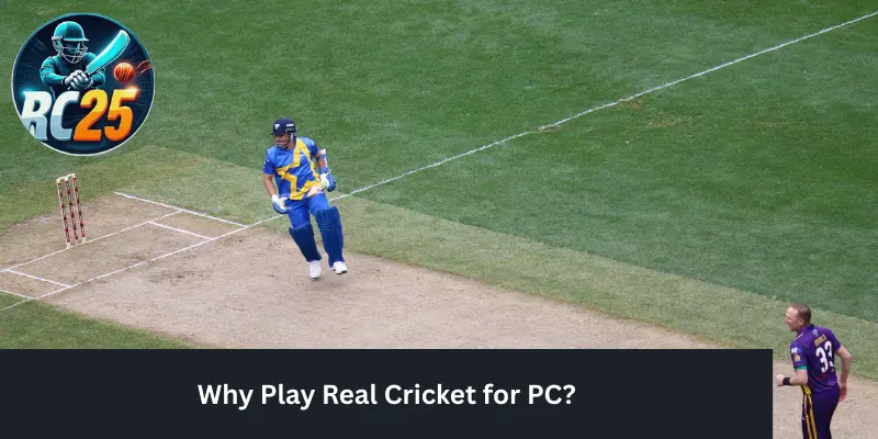 Why Play Real Cricket for PC