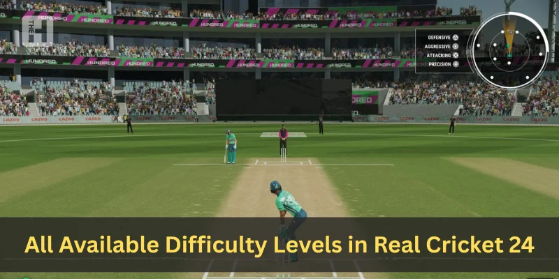 All Available Difficulty Levels in Real Cricket 24